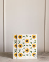 Eco Cloths (Set of 2)