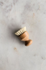 Multipurpose Brushes